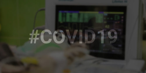 AI in Healthcare: The Ideal Interface Between COVID-19 Patients and Doctors